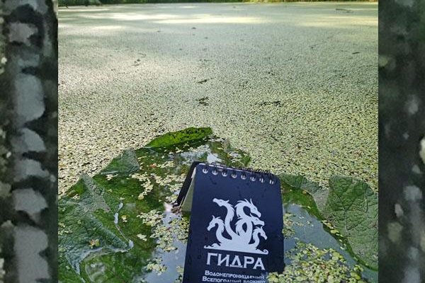 Что такое кракен площадка