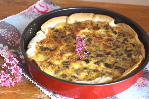 Ссылки на кракена и на мегу
