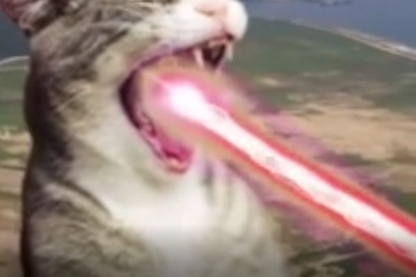 Купить наркотики онлайн