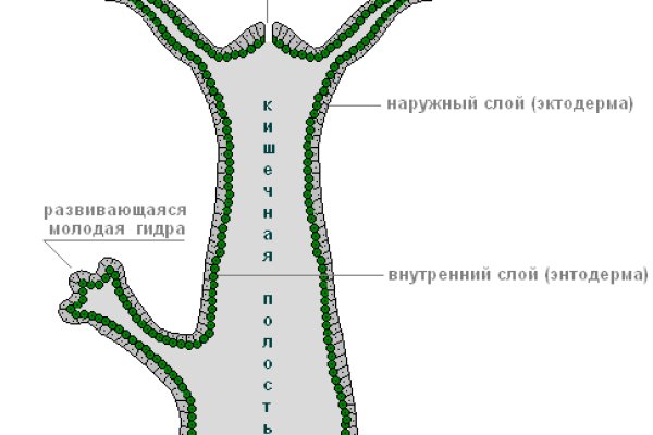 Кракен ссылка 25