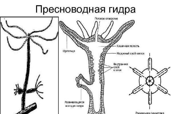 Кракен настоящее зеркало
