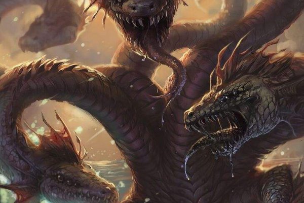 Kraken 24 at