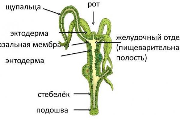 Купить наркотики в москве